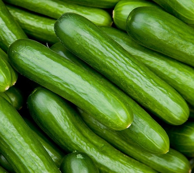 cucumber